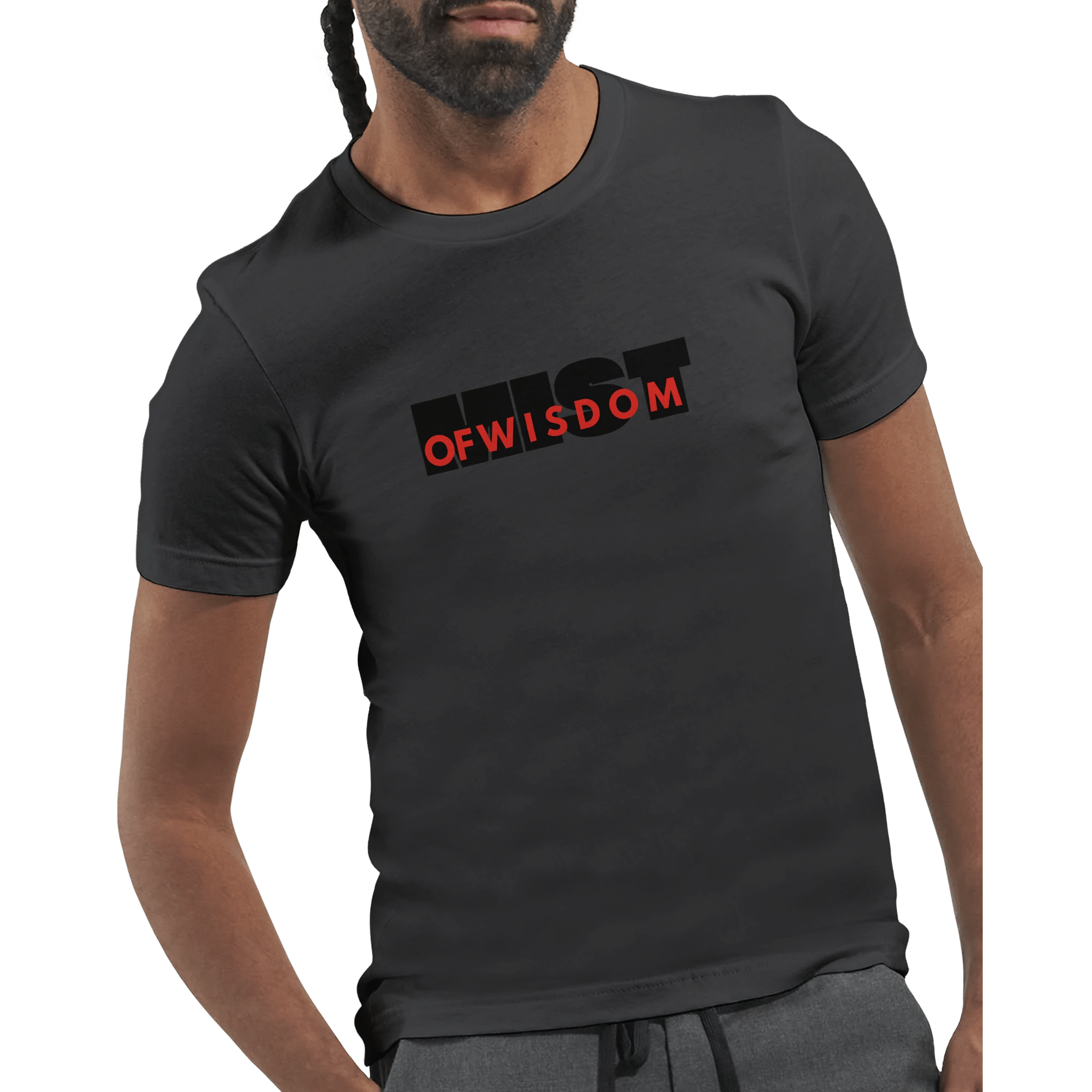Mist of Wisdom DTG Printed T-Shirt – Soft Unisex Fit - Ilgary Studio