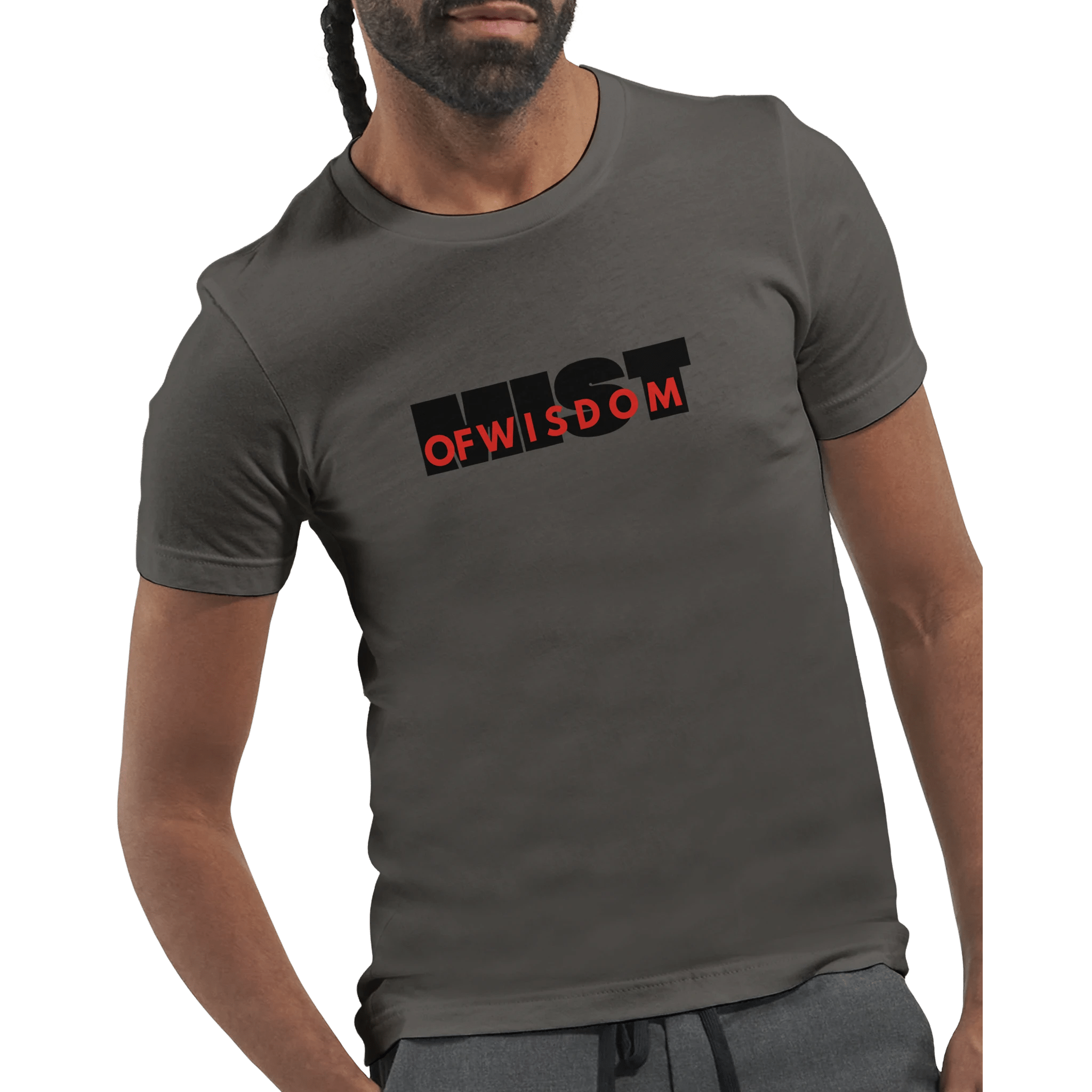 Mist of Wisdom – Premium Unisex Crewneck T-Shirt - Ilgary Studio